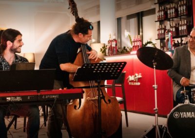 Metis Jazz Trio